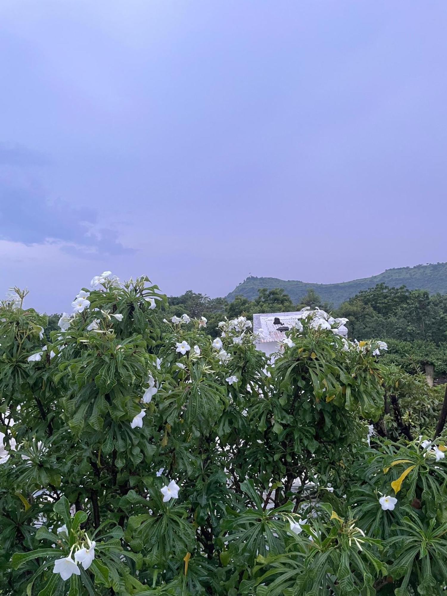 Private & Elegant 3Bhk Villa, Hillside Hideaway, 10 Mins From Mh Bus Stand 奥兰加巴德 外观 照片